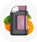 vozol 7000